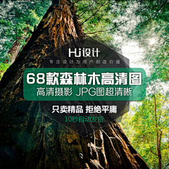 HJ设计素材采集到高清摄影