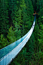 imalikshake:

Capilano Suspension Bridge by Michelle Lee




