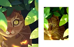 3-6月速涂总结插画设计