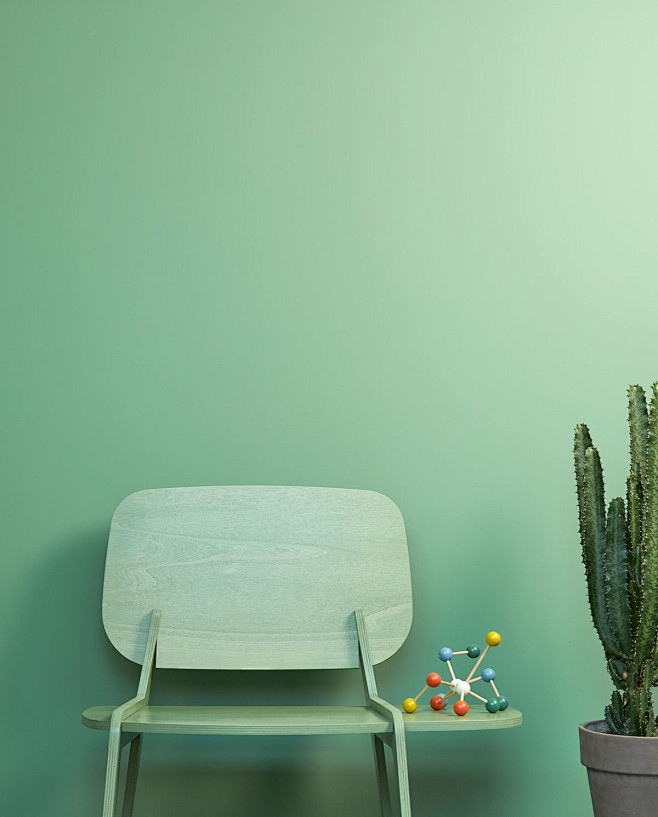 平视木椅青色墙面玩具仙人掌盆栽植物