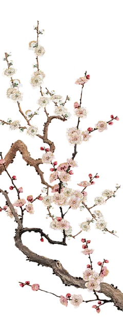 中式古风梅花素材免抠图