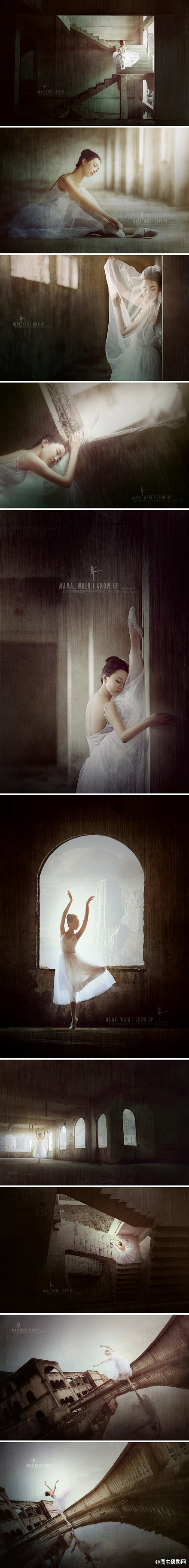 来自#图虫摄影师#：@摄影-玉兰苍穹 【...