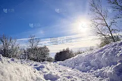 冬天的森林，天气晴朗，阳光明媚，天空湛蓝