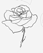 线描玫瑰花 装饰 设计 黑色 元素 免抠png 设计图片 免费下载 页面网页 平面电商 创意素材