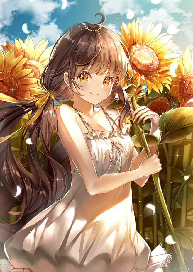直视太阳♡向日葵特辑 : 说到能代表夏天...