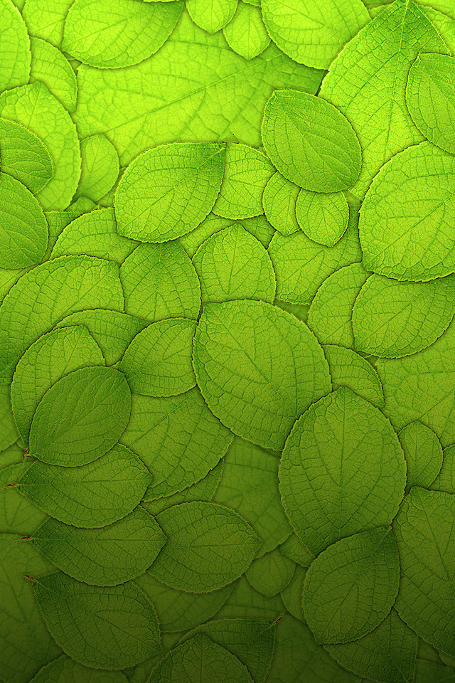 Leafy Texture #背景图#