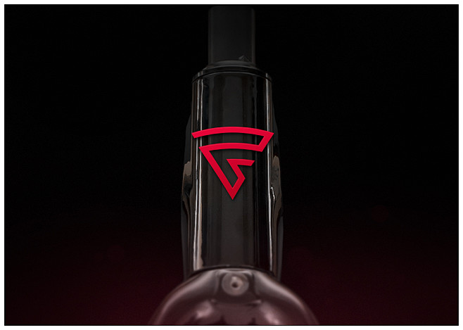 Brand logo for FOCUS...