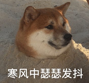表情包 狗_百度图片搜索