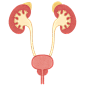 肾病 肾脏 卡通 插画 免扣 素材 手绘 png6