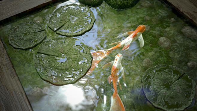 Fish Pond 2.0, Pauli...