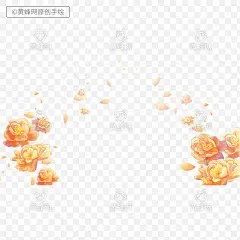 牡丹花,手绘牡丹花,牡丹花插画,国潮,国风,