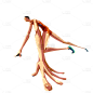 高质量人物插画-运动员
