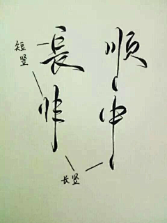 v顾池_采集到学习菊花体