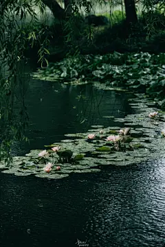 杭州旅行｜雨后的钱塘才是真江南