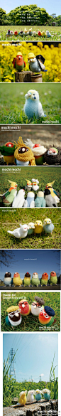 超萌的小鸟羊毛毡手工。作者：mochimochi