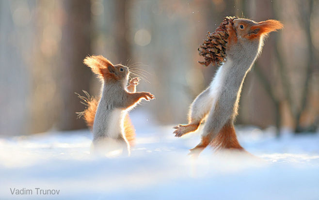 Jump by Vadim Trunov...