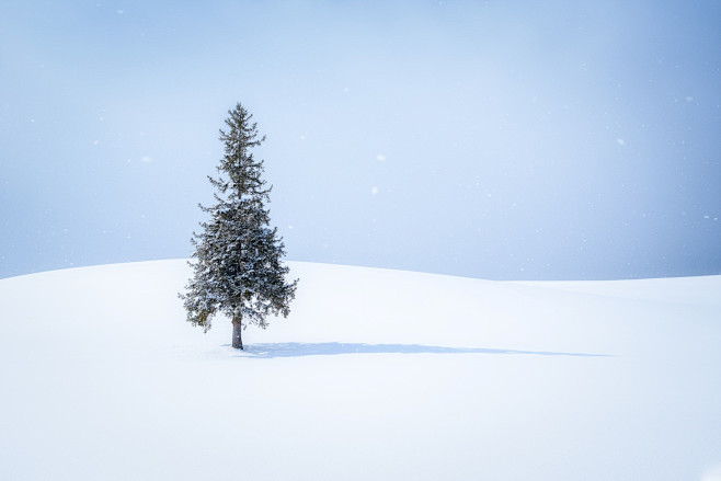 Jason Arney在 500px 上...