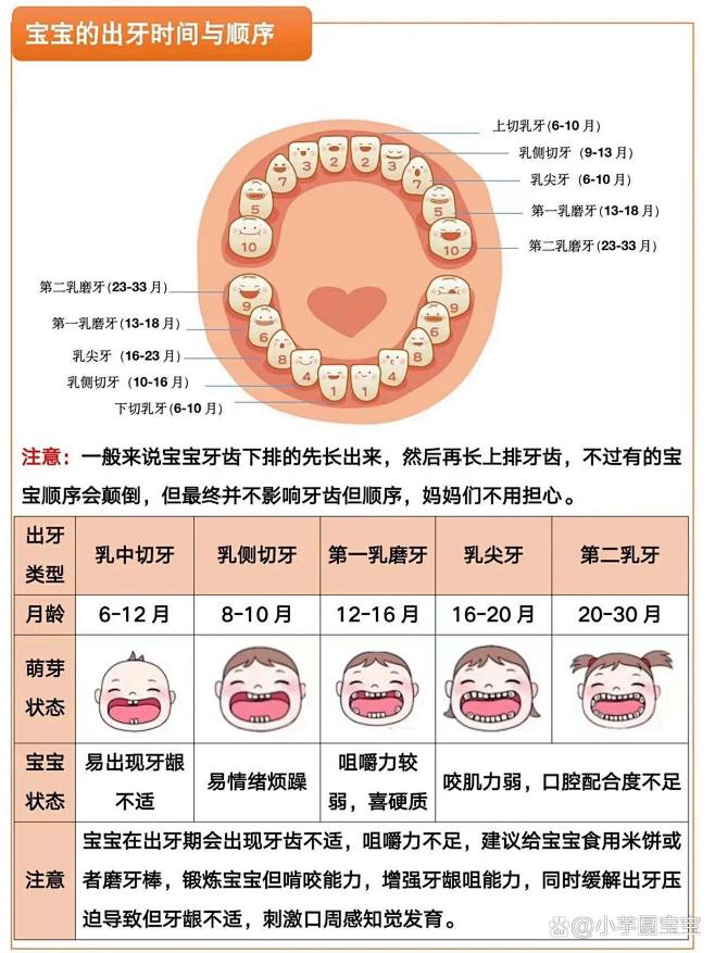 宝宝出牙顺序详解图‼️快帮宝宝收藏