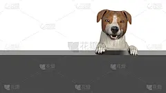 杰克罗素品种背后的广告牌模型3d插图