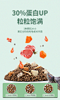 龟粮乌龟饲料巴西龟草龟食物半水龟通用粮虾干观赏龟专用小乌龟粮-tmall.com天猫