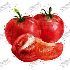 手绘彩色蔬菜免扣素材图片 【酷图网】番茄,西红柿,青菜插画,蔬菜插画,手绘蔬菜,手绘青菜,健康饮食,果蔬,蔬菜,水果,饭菜,绿色蔬菜,食物手绘,小清新,素材,美食,餐饮,手绘,食材,插画,火锅食材,食物,光盘行动,拒绝浪费,光盘,公益,宣传,卡通,PNG,免抠,免抠图,抠图,元素,透明,蔬菜素材,蔬菜沙拉,沙拉,有机蔬菜,天然,健康