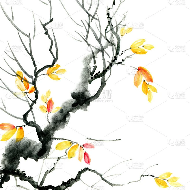 秋天树枝素材-花瓣网