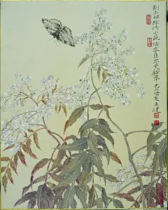 贾广健 工笔花鸟画 - 潮河边人 - 潮河边人博客