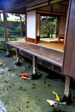 长弓海晏采集到建筑