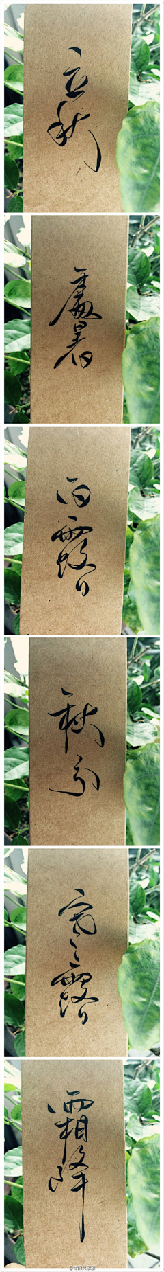 ❀梦昙花开❀采集到橡皮章