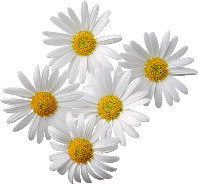 15.png : Фото, автор...
