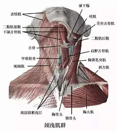 点击查看图片来源