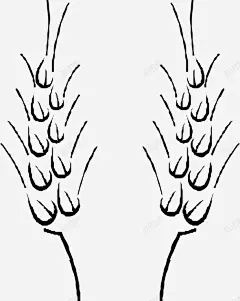 黑色手绘麦穗植物图标 麦穗 麦穗图标 UI图标 设计图片 免费下载 页面网页 平面电商 创意素材