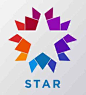 Star Logo - 必应 Bing 图片