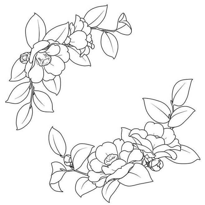 素锦素材//花卉线稿//黑白//插花//...
