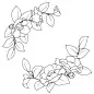 花卉线稿