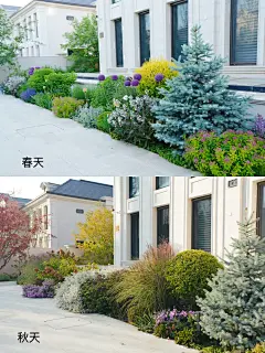 北京20米长1.2米宽长效花境春秋效果对比 - 小红书