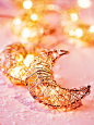 Free People Moon Gazer 10ft String Lights : Moon Gazer 10ft String Lights | The perfect accent for holiday decorating, garden lighting, or exciting parties, featuring celestial inspired moon accents. Easy to use on mantels, table centerpieces, trees, and 