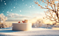 Minimalist stage design, two cylindrical podiums on the snow-covered ground, surrounded by falling snowflakes, against a blue sky background. The composition focuses on soft lighting and the pure white of both the product display stand and the surrounding