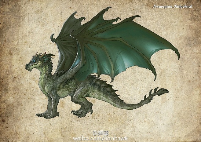 挪威脊背龙在大多数方面和树蜂相似,尽管它尾巴上没有尖刺,脊背上特别