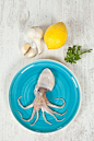 Octopus - stock photo