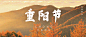 重阳banner
