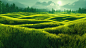 green-field-tree-blue-skygreat-as-backgroundweb-banner-generative-ai