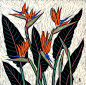 bird-of-paradise-flower-linocut-rachel-newling.jpg