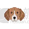 法国,小狗,非凡的,注视镜头,纯种犬,几何形状,肖像,狗,哺乳纲