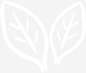 洁白颜色的茶叶免抠png素材_新图网ixintu.com