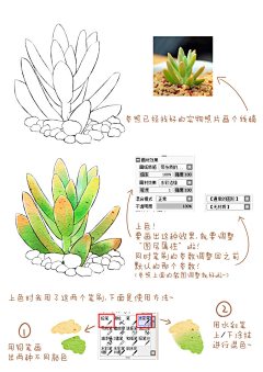 梨姀采集到插画