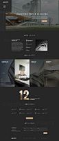 go.arch is a luxury, elegant and trendy PSD template designed in two color styles: black & white. You can be use it for a lot of websites, like…