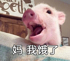 ZIFO采集到聊天表情图片