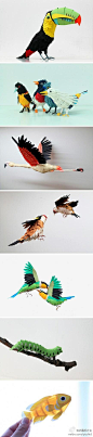 绚丽逼真的纸作品，来自Diana Beltran Herrera，这些彩色的纸鸟和鱼用色清爽绚丽，把动物的灵动可爱塑造得淋漓尽致
http://www.goods-brand.com/