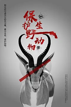 保护野生动物保护动物海报